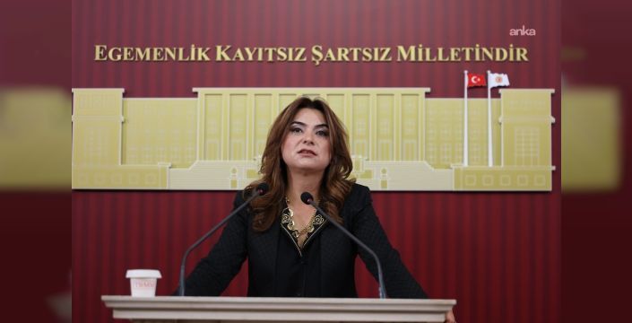DEM Parti: Dilde barış varsa bütçede de barış olmalı