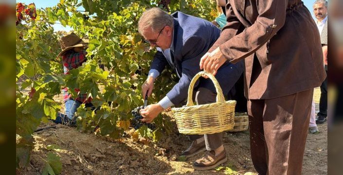 Destici, memleketi Eskişehir'de bağbozumu etkinliğine katıldı