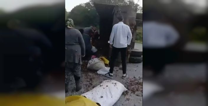 Düzce'de traktör römorku devrildi, 11 kişi yaralandı
