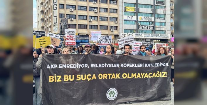 Ege Üniversitesi'nde köpeklerin toplanması tepki çekti