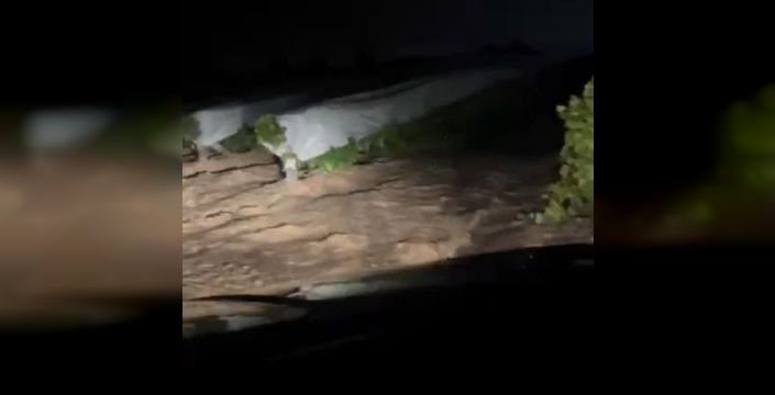 Elazığ'da sağanak sele neden oldu, üzüm bağları sular altında