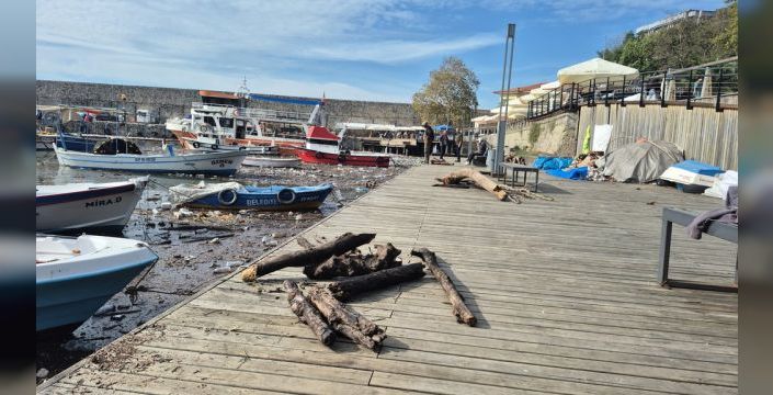 Fırtına sonrası denize sürüklenen ağaçlar yakacak oldu