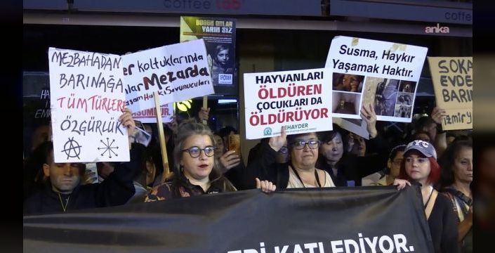 Hayvan hakları savunucularından yeni yasa talebi