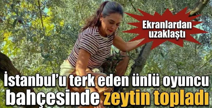İstanbul’u terk eden ünlü oyuncu bahçesinde zeytin topladı! Ekranlardan uzaklaştı
