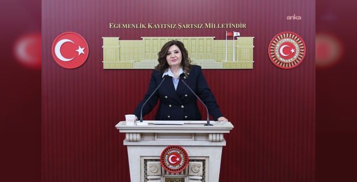 İYİ Partili Taşcı, basın özgürlüğüne yönelik eleştirilerde bulundu