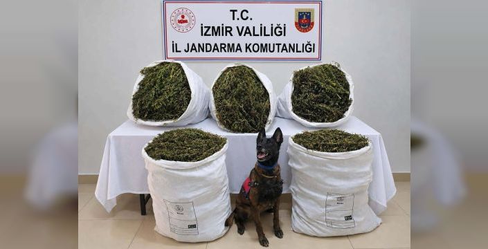İzmir'de 54 kilo 800 gram esrar ele geçirildi, 3 kişi tutuklandı