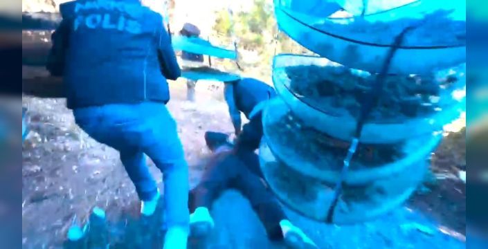 İzmir ve Muğla'da 63 kilo skunk ele geçirildi, 12 gözaltı