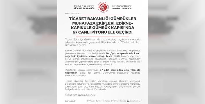 Kapıkule'de 67 piton yılanı ele geçirildi