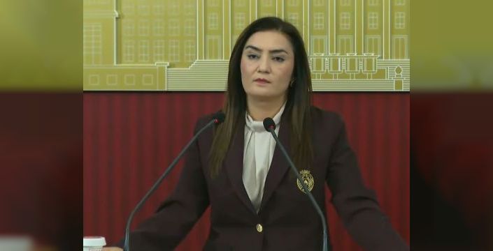 Kılıç, Meclis'in savaş ve barış meselelerinde rol alması gerektiğini vurguladı
