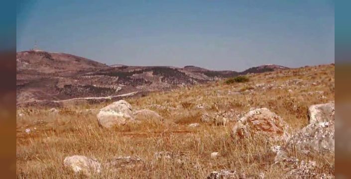 Kırıkhan'da koruma altındaki dağ ceylanı merkezinde izinsiz tarım yapana ceza kesildi