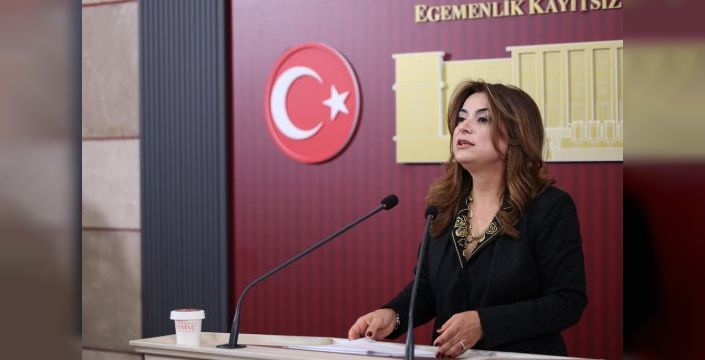 Koçyiğit: Her 100 liranın 17'si faize gidiyor