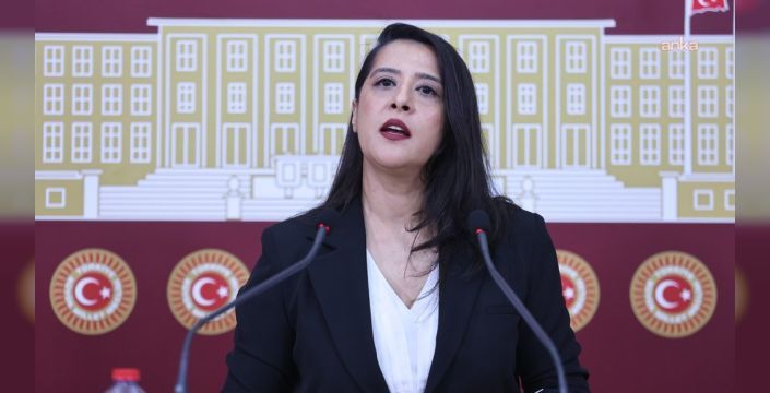 Köylülerin mera alanları GES'e tahsis edildi