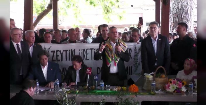 Özel: Zeytinci antik çağlardan beri bu kadar perişan