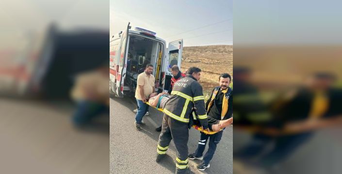 Reyhanlı'da kontrolden çıkan TIR zeytinlik alana devrildi