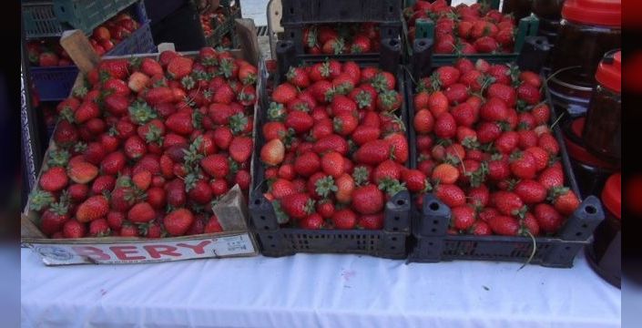 Sason festivalinde 1 kilo bal 400 bin liraya satıldı
