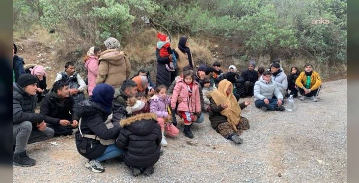 Seferihisar'da 37 kaçak göçmen yakaladı, sürücü tutuklandı