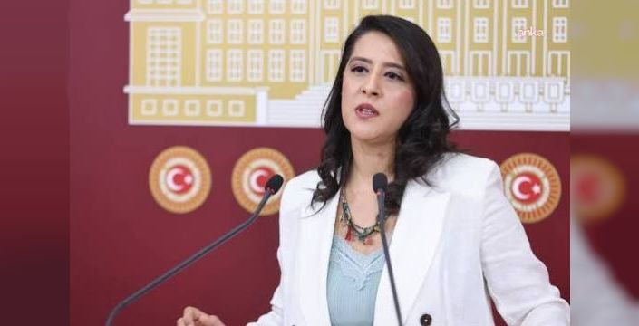 Sevda Karaca, 'Ailem Güvende' operasyonlarını Meclis'e taşıdı