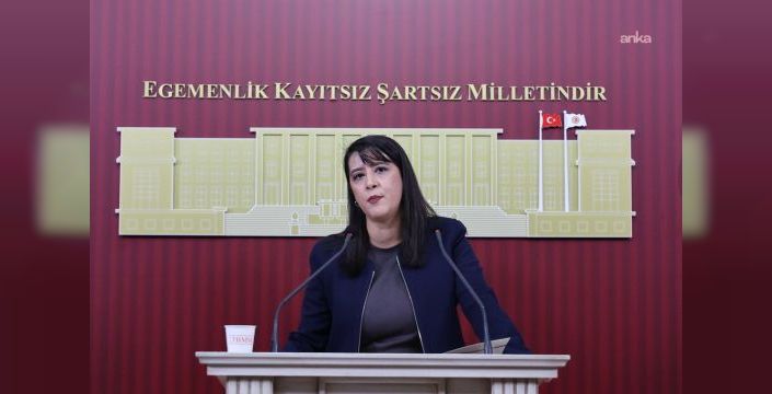 Sevda Karaca: Fon vurgununda sistem sorgulanmalı