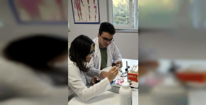 Tarantula zehriyle geliştirdikleri hidrojel ABD'de yarışacak