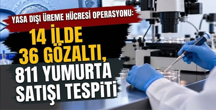 Yasa Dışı Üreme Hücresi Operasyonu: 14 İlde 36 Gözaltı, 811 Yumurta Satışı Tespiti